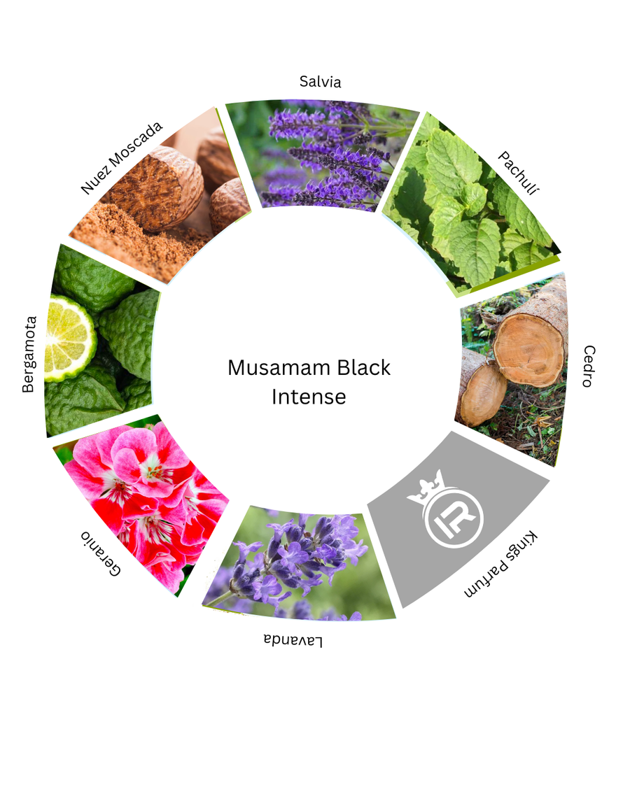 Notas olfativas de Musamam Black Intense Lattafa Perfumes