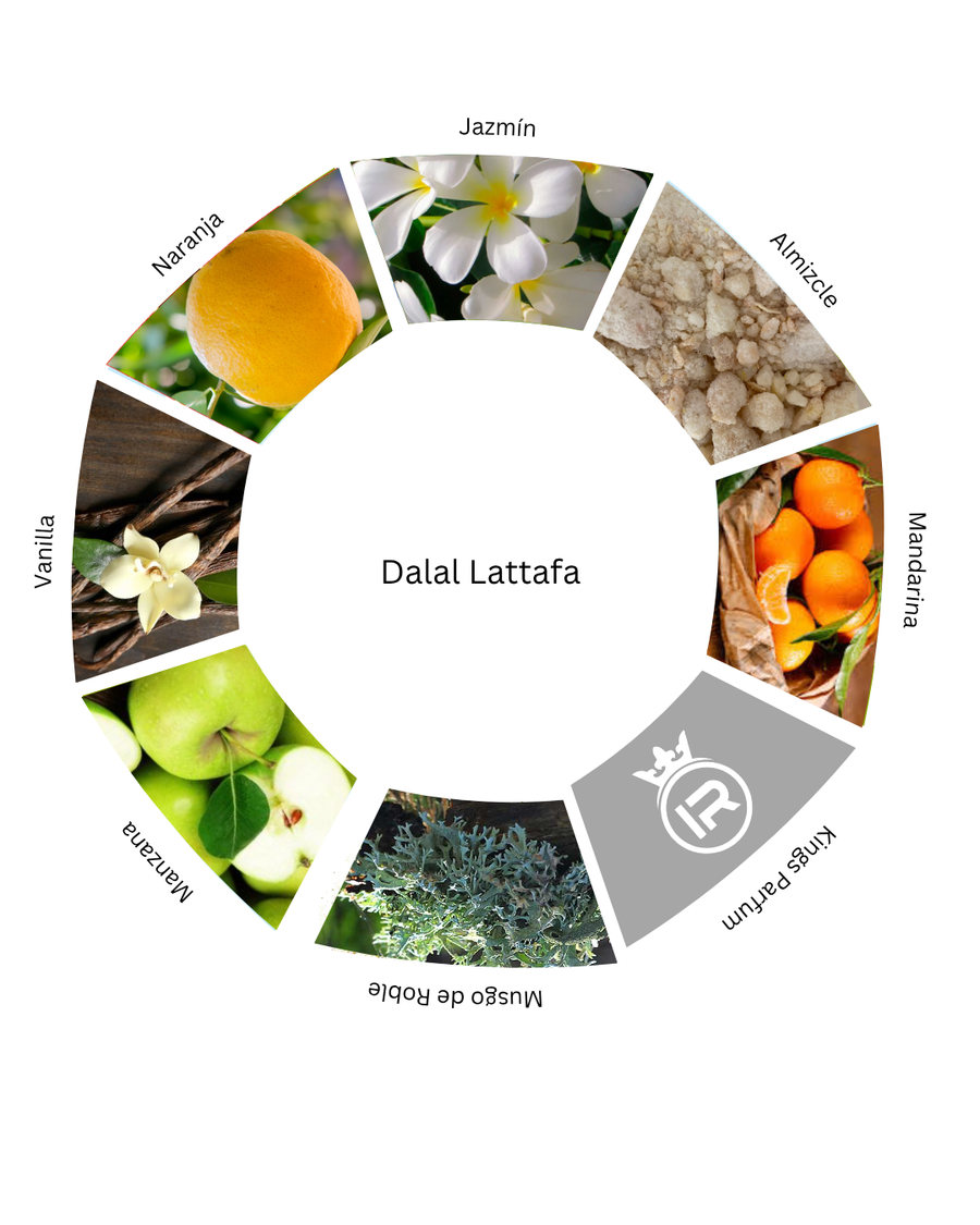Notas olfativas de Dalal Lattafa Perfumes