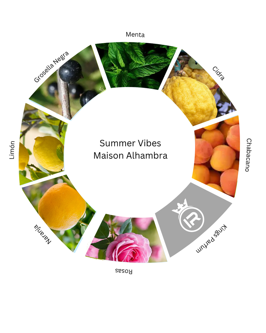 Notas olfativas de Summer Vibes Maison Alhambra
