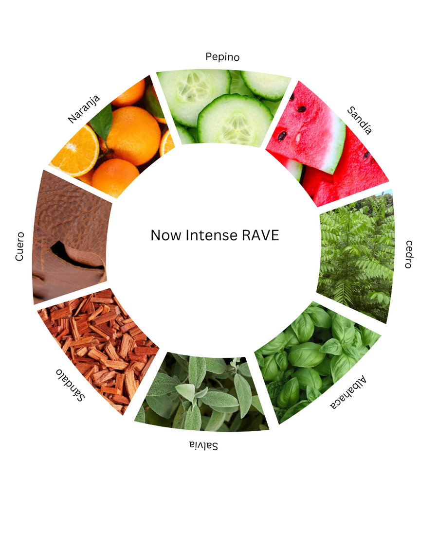 Notas olfativas de Now Intense RAVE
