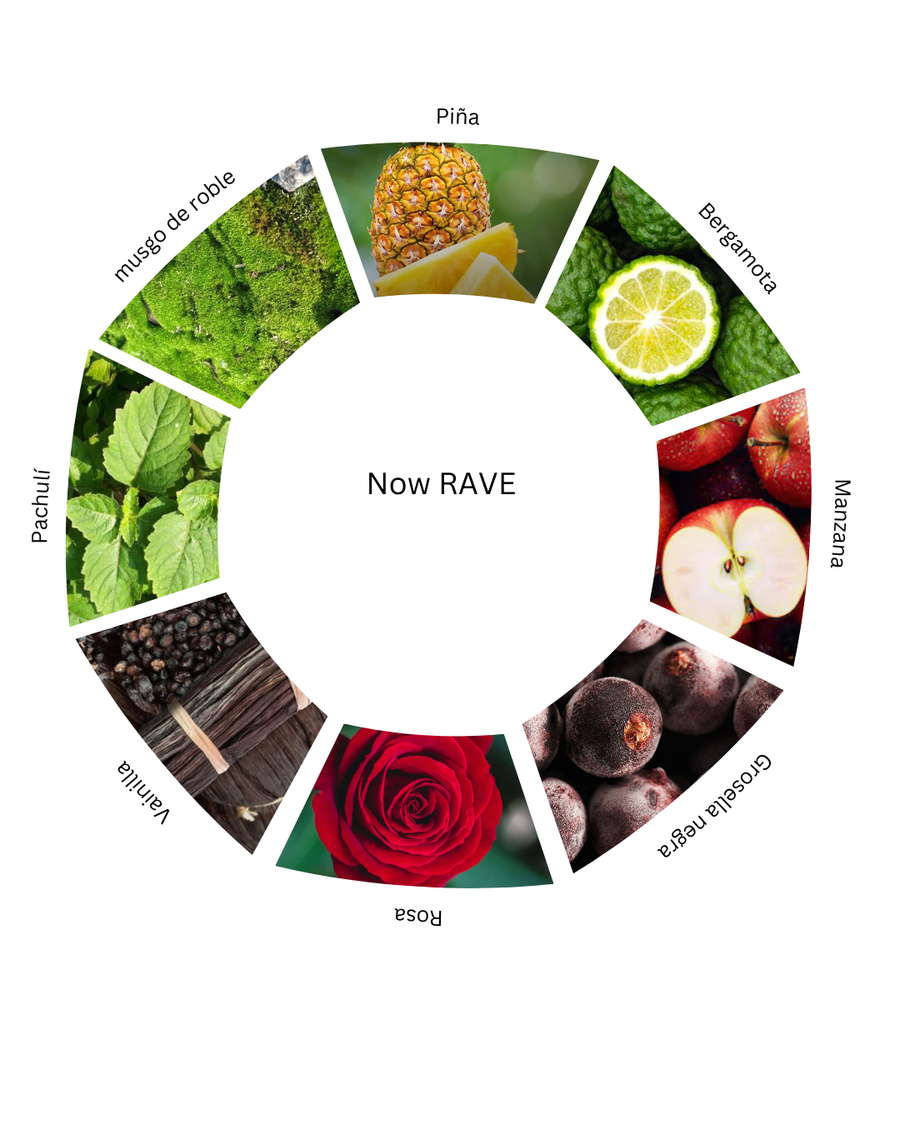 Notas olfativas de Now RAVE